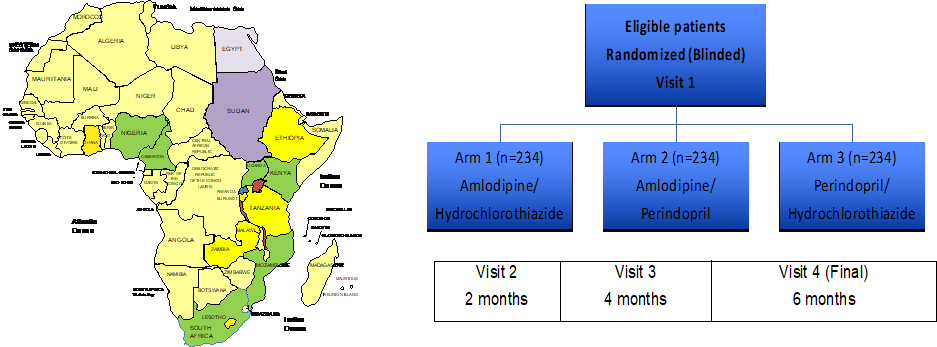 CREOLE in Cameroon